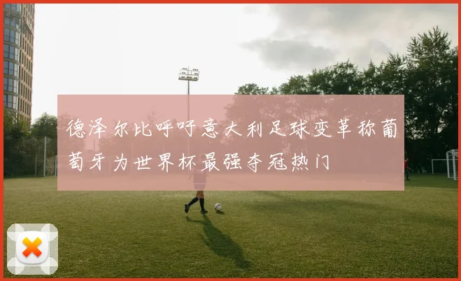 德泽尔比呼吁意大利足球变革称葡萄牙为世界杯最强夺冠热门